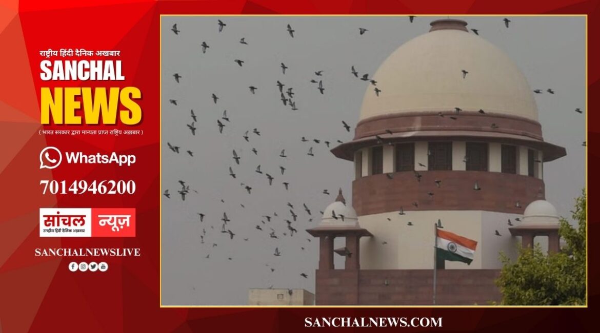 हाउसिंग बोर्ड जमीन घोटाले पर सुप्रीम कोर्ट सख्त, कहा– ऊपर से नीचे तक मिलीभगत, सब ध्वस्त होगा