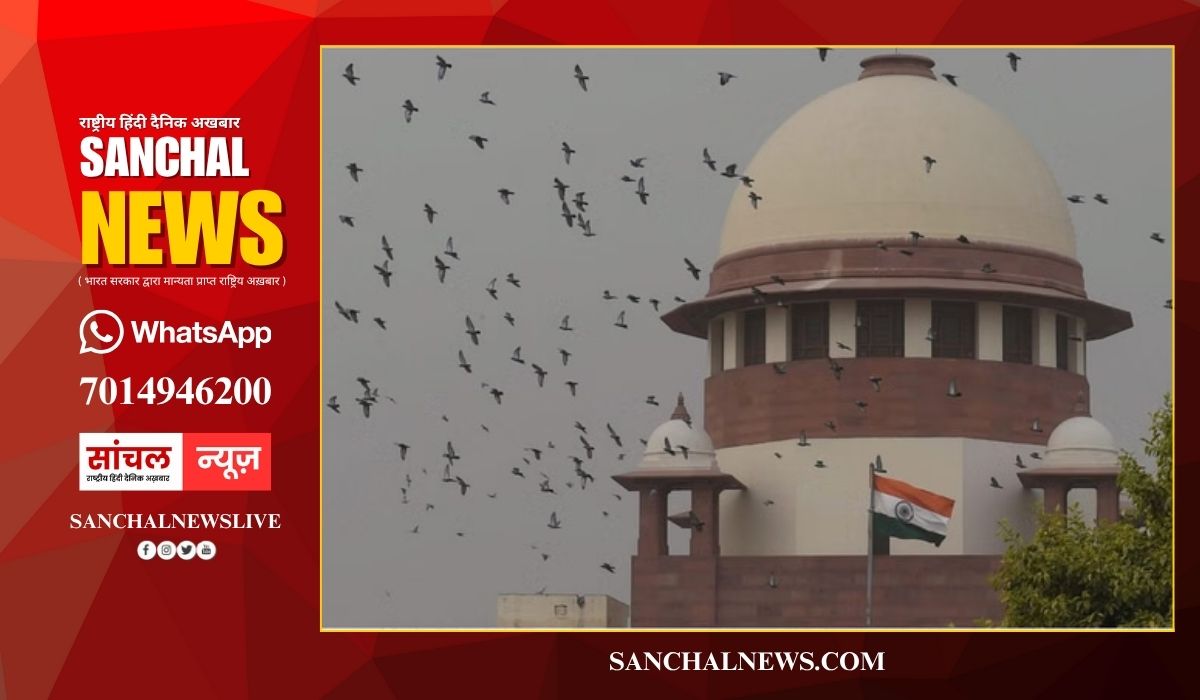 हाउसिंग बोर्ड जमीन घोटाले पर सुप्रीम कोर्ट सख्त, कहा– ऊपर से नीचे तक मिलीभगत, सब ध्वस्त होगा हाउसिंग बोर्ड जमीन घोटाले पर सुप्रीम कोर्ट सख्त, कहा– ऊपर से नीचे तक मिलीभगत, सब ध्वस्त होगा