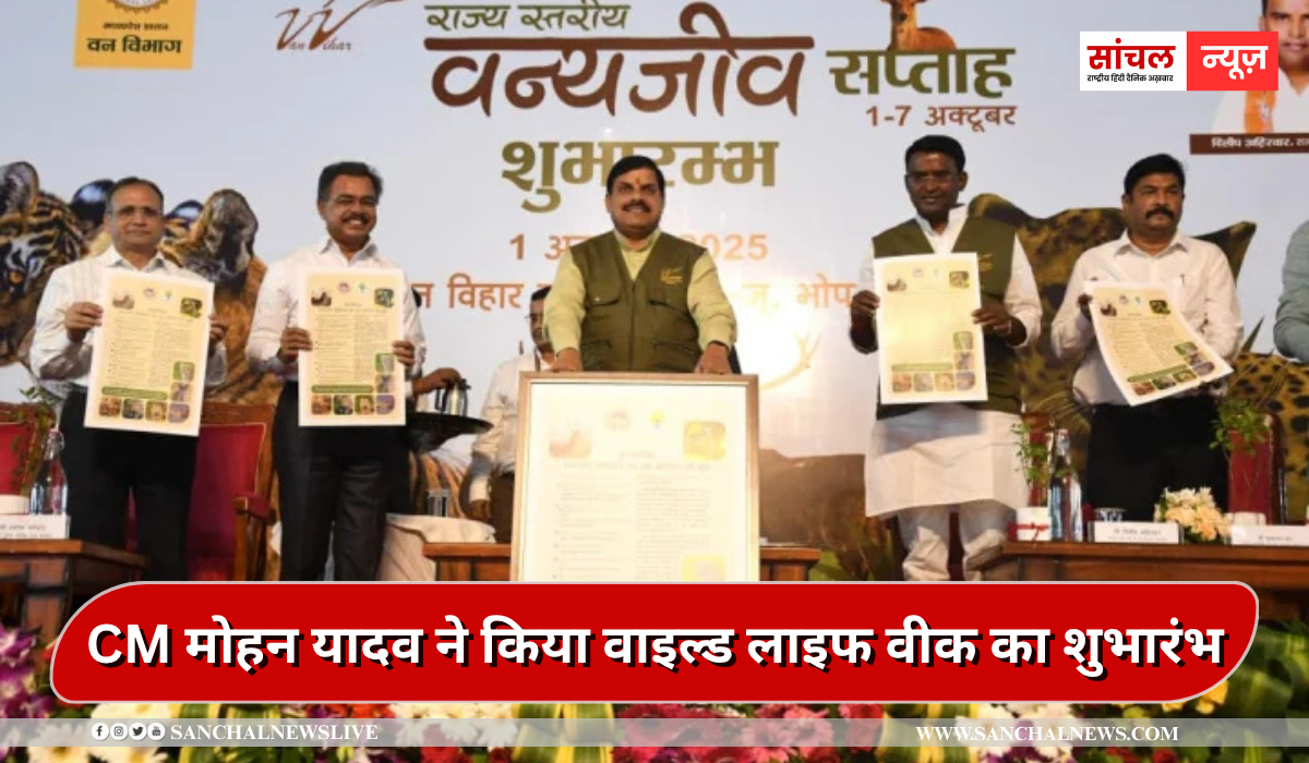 CM मोहन यादव ने किया वाइल्ड लाइफ वीक का शुभारंभ, MP में सफारी का आनंद उठाएंगे पर्यटक CM मोहन यादव ने किया वाइल्ड लाइफ वीक का शुभारंभ, MP में सफारी का आनंद उठाएंगे पर्यटक