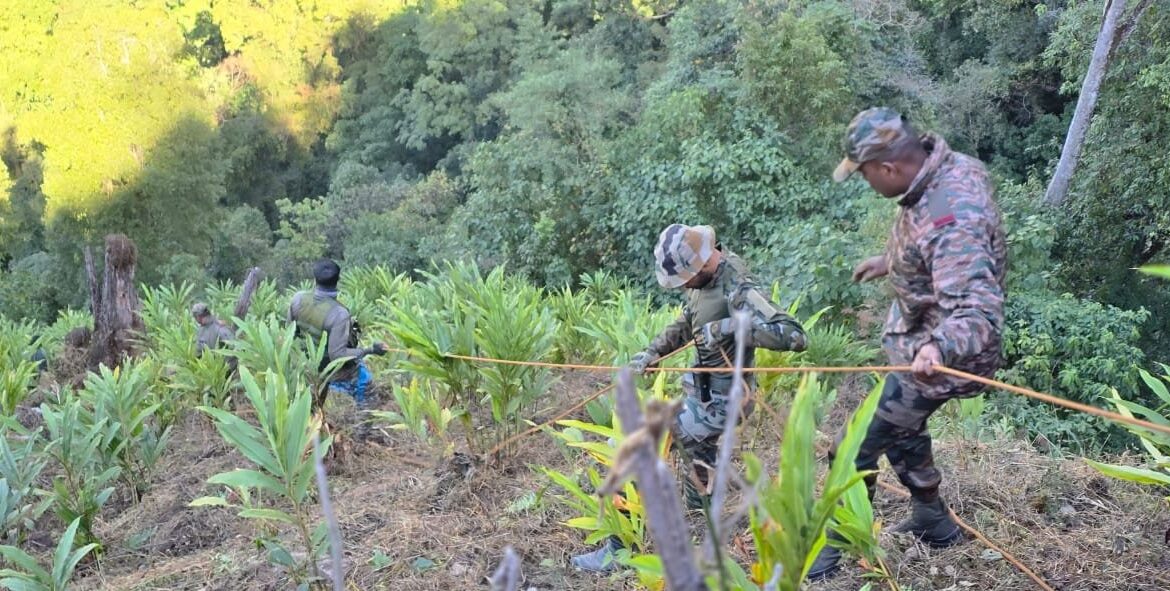अरुणाचल प्रदेश में मजदूरों को लेकर जा रहा ट्रक खाई में गिरा, 22 मजदूरों की मौत, रेस्क्यू टीम ने 13 शव किए बरामद अरुणाचल प्रदेश में मजदूरों को लेकर जा रहा ट्रक खाई में गिरा, 22 मजदूरों की मौत, रेस्क्यू टीम ने 13 शव किए बरामद