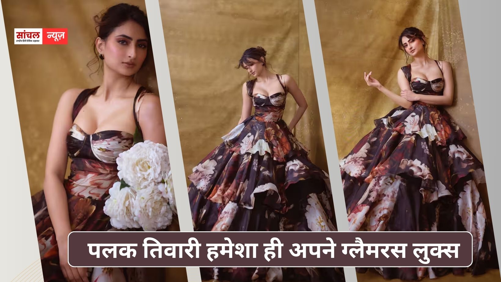पलक तिवारी हमेशा ही अपने ग्लैमरस लुक्स; लेटेस्ट पोस्ट सोशल मीडिया पर वायरल, तस्वीरों पर अटका फैंस का दिल पलक तिवारी हमेशा ही अपने ग्लैमरस लुक्स; लेटेस्ट पोस्ट सोशल मीडिया पर वायरल, तस्वीरों पर अटका फैंस का दिल