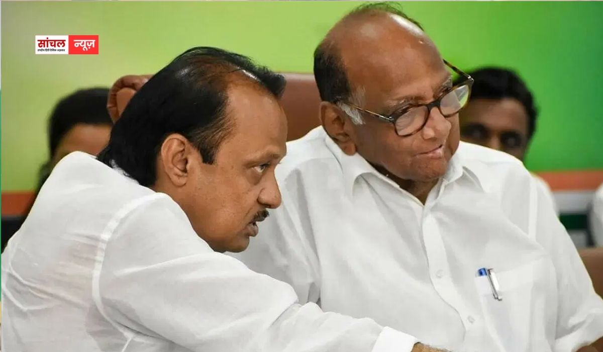 शरद पवार-अजित पवार के जीते पार्षदों ने बनाया बड़ा प्लान, नया फ्रंट बनाने के पीछे क्या है वजह? शरद पवार-अजित पवार के जीते पार्षदों ने बनाया बड़ा प्लान, नया फ्रंट बनाने के पीछे क्या है वजह?