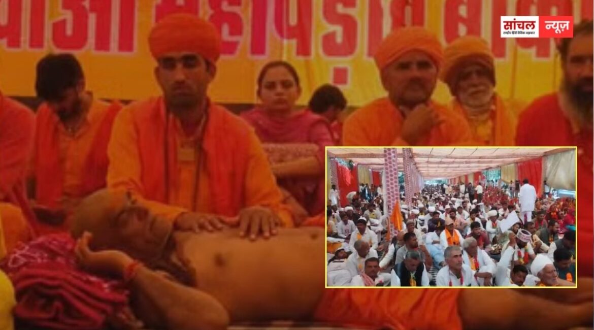 “खेजड़ी बचाओ आंदोलन” संत समाज ने दिया सरकार को अल्टीमेटम, आंदोलन में 10 से अधिक लोगों की तबीयत बिगड़ी, वसुंधरा का खेजड़ी बचाओ आंदोलन को समर्थन “खेजड़ी बचाओ आंदोलन” संत समाज ने दिया सरकार को अल्टीमेटम, आंदोलन में 10 से अधिक लोगों की तबीयत बिगड़ी, वसुंधरा का खेजड़ी बचाओ आंदोलन को समर्थन