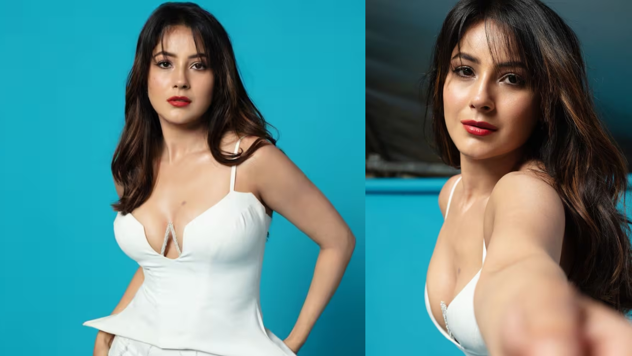शहनाज गिल का कातिलाना अंदाज, व्हाइट मरमेड स्कर्ट में सोशल मीडिया पर लगाई आग