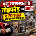 दिल्ली में पशु शरणस्थल में तोड़फोड़ का आरोप: संस्थापक जागृति मिश्रा ने बताया ₹70 लाख का नुकसान, रिश्वत मांगने के भी गंभीर आरोप