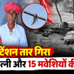 बाड़मेर में हाईटेंशन लाइन का तार टूटकर बाड़े पर गिरा: 15 मवेशियों को बचाने गए पति-पत्नी की करंट से मौत, तीन बच्चों के सिर से उठा माता-पिता का साया