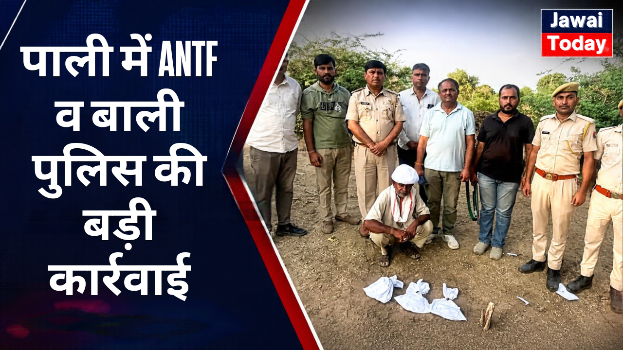 पाली में ANTF व बाली पुलिस की बड़ी कार्रवाई: भैंसों के बाड़े में भूसे के नीचे छिपा रखा था 1.302 किलो अफीम का दूध, 64 वर्षीय रिटायर्ड पालिकाकर्मी गिरफ्तार पाली में ANTF व बाली पुलिस की बड़ी कार्रवाई: भैंसों के बाड़े में भूसे के नीचे छिपा रखा था 1.302 किलो अफीम का दूध, 64 वर्षीय रिटायर्ड पालिकाकर्मी गिरफ्तार